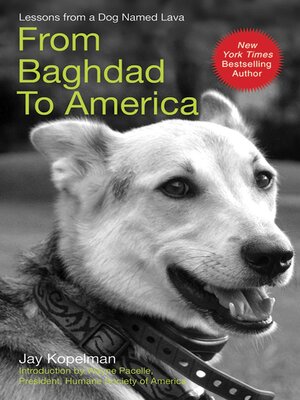 cover image of From Baghdad to America